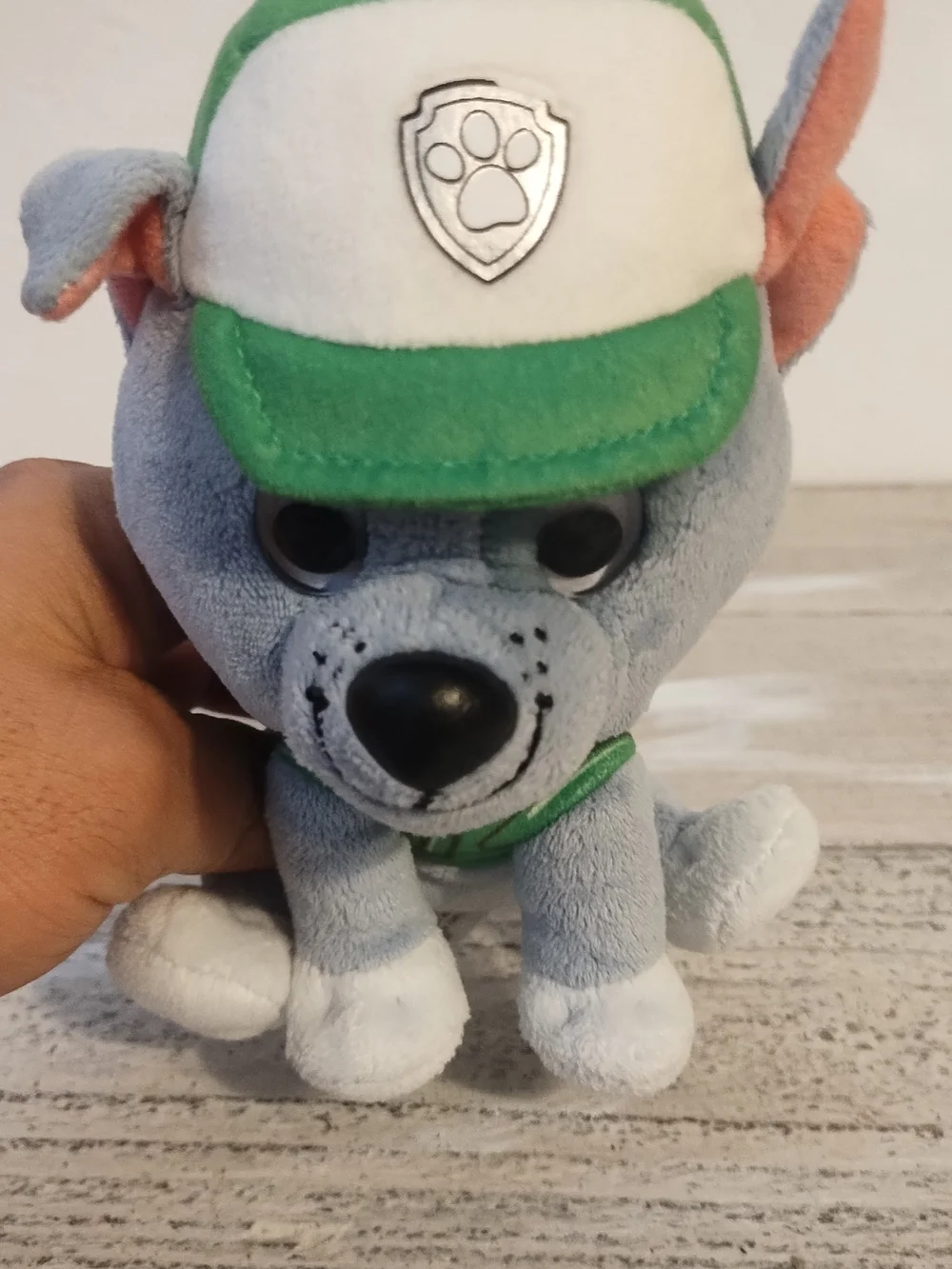 Paw Patrol Rocky Plush Toy with Green Cap
